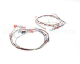 41390.7011 Bunn Wiring Harness,Tgl Dgtl Timer