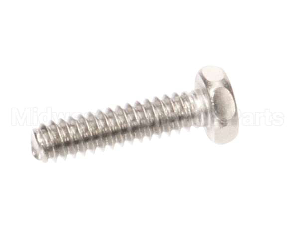 1307 Globe Screw