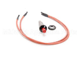 4181 Nieco Pilot Igniter W/Two 20 Wires