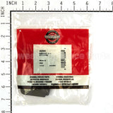 4200 Briggs & Stratton Gasket (5 X 273113S)