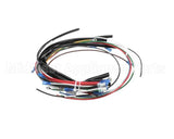 4204-16 Crown Steam Wire Harness