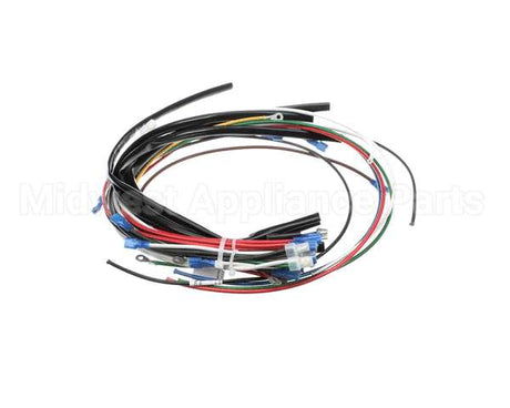 4204-16 Crown Steam Wire Harness