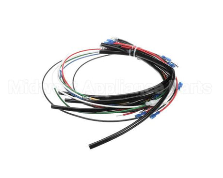 4204-16 Crown Steam Wire Harness