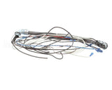 4204-47 Southbend Range Wire Harness