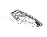 4204-47 Southbend Range Wire Harness