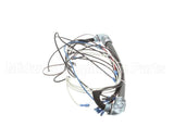 4204-47 Southbend Range Wire Harness