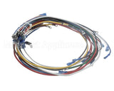 4204-9 Crown Steam Wire Harness, Elements