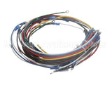 4204-9 Crown Steam Wire Harness, Elements