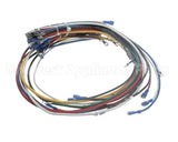 4204-9 Crown Steam Wire Harness, Elements