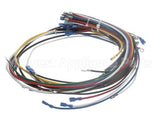 4204-9 Crown Steam Wire Harness, Elements