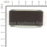 4239 Briggs & Stratton P/C-Filter (5 X 797033)