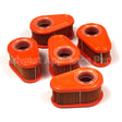 4245 Briggs & Stratton A/C-Filter (5 X 792038)