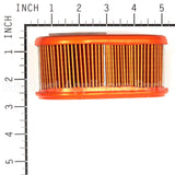 4245 Briggs & Stratton A/C-Filter (5 X 792038)