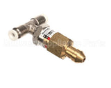 42800.1048 Thermoplan Chek Valve 16.5 Bar Set