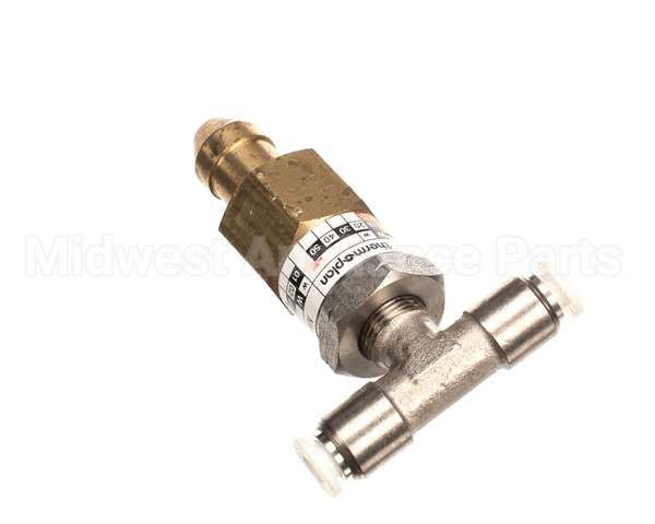 42800.1048 Thermoplan Chek Valve 16.5 Bar Set