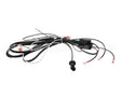 43-13916 Federal Industries Harness, Main Wire (Refrig Sc)
