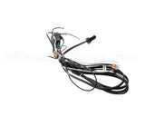 43-13916 Federal Industries Harness, Main Wire (Refrig Sc)
