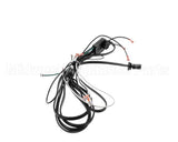 43-13916 Federal Industries Harness, Main Wire (Refrig Sc)