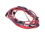 43-21009 Federal Industries Harness Lights