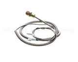 4309-1 Crown Steam Temperature Probe