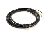 430953 Stoelting Harness; Cord 12 Ft. 20A 250V