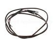 4343-1 Crown Steam Thermocouple