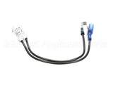 43534-2 Vollrath Pilot Light