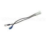 4353401-2 Vollrath Pilot Light Assembly 250V