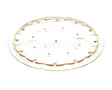43920.0006 Bunn Sprayhead, 21 Hole Plastic Wav
