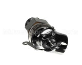 440173 Legion 55# Relief Valve Stchr