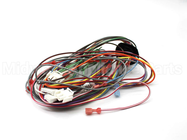 45-104090-01 Rheem-Ruud Wiring Harness Assembly