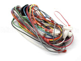 45-104090-01 Rheem-Ruud Wiring Harness Assembly