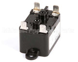 4527431 Garland Relay - 24Vac/50-60 (Standard)