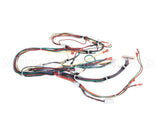 4532621 Garland Harness_Gas Burner Assy