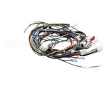 4602143 Garland Harness Main