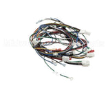 4602143 Garland Harness Main