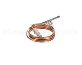 460274 Legion Thermocouple