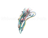 4604390 Garland Harness Acl Control