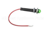 4661-1 Crown Steam Green Light 24 Volt