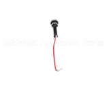 4661-8 Crown Steam Red Light 24 Volt