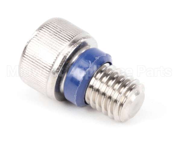 474757G02 Hoshizaki Seal Bolt - M10