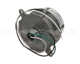 47983 International Cold Storag Everidge 11806Lgwlmp Fixture & Globe Onl