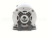 4805 Multiplex Motor Electric 1/3 Hp 110/220V