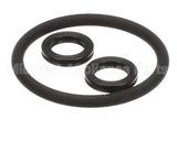 48249.0000 Bunn Kit, Brew Module O-Rings
