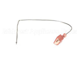48253 Nemco Sensor,Water Level 1, Asm