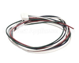 4851-2 Crown Steam Wire Harness