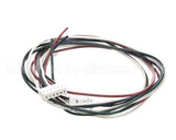 4851-2 Crown Steam Wire Harness