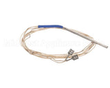 4883185 Apw Wyott Probe, Rtd, 60 W/0.19 Dia. X 3