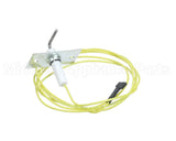 48DP500613 Carrier Flame Sensor With Wire