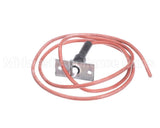 48DP500623 Carrier Electrode Ignitor With Wire